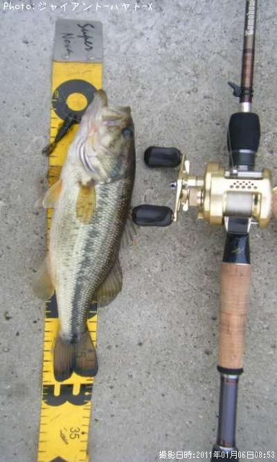 �֥�å��Х�