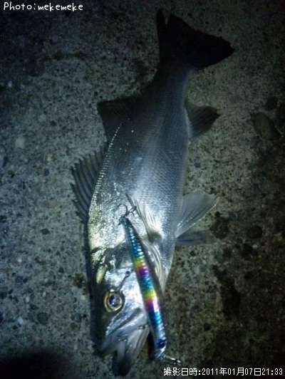 �ҥ饹����