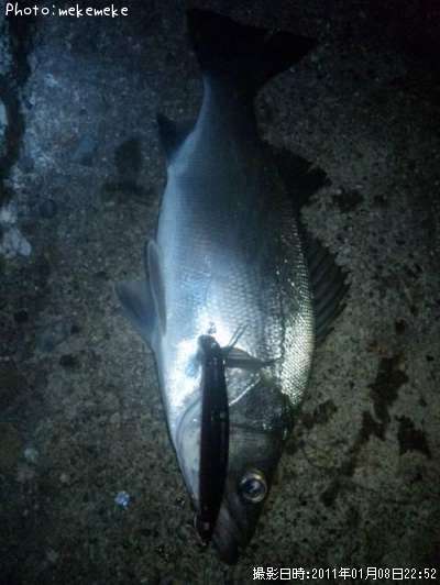 �ҥ饹����