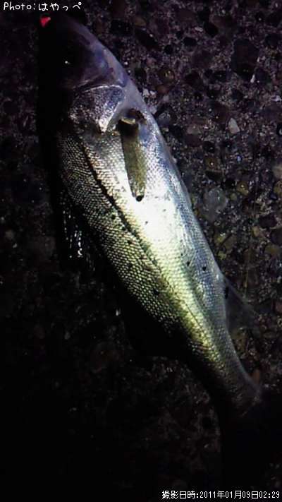 �����Х�