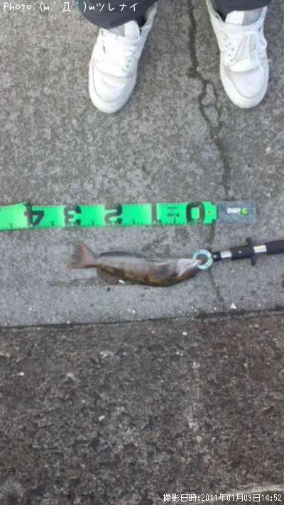 �����ʥ�