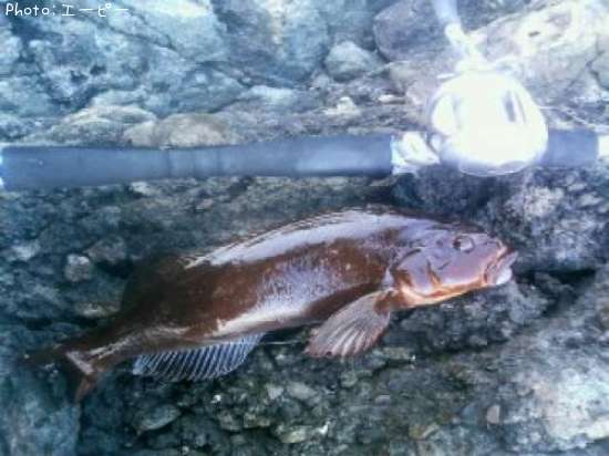 �����ʥ�