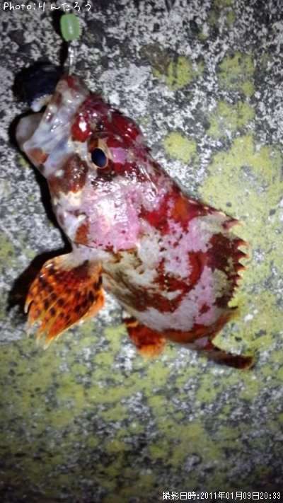 �������Х�