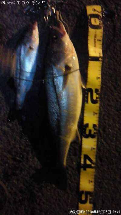 �����Х�