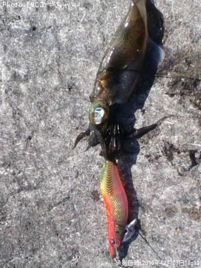 �����ꥤ��