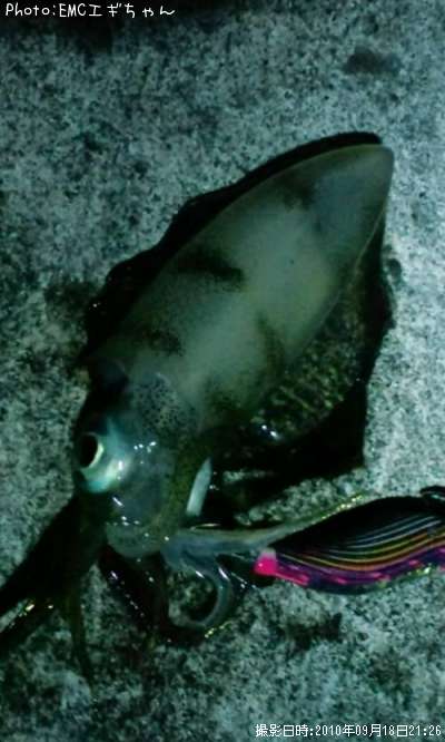 �����ꥤ��