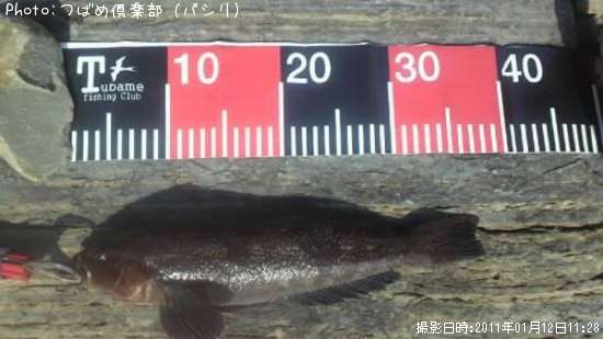 �����ʥ�