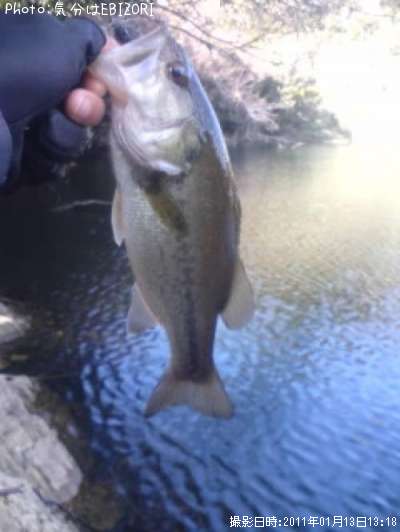 �֥�å��Х�