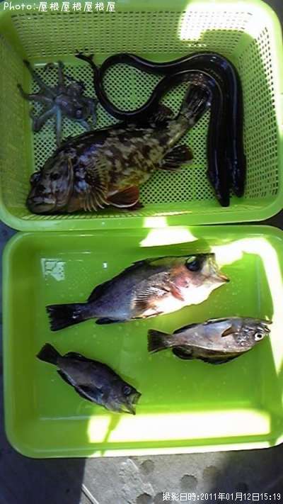 ��������ã