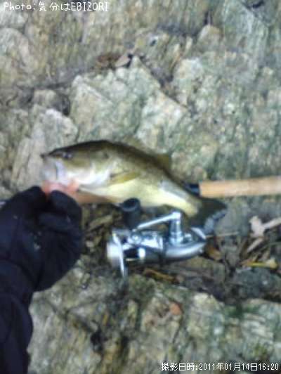 �֥�å��Х�