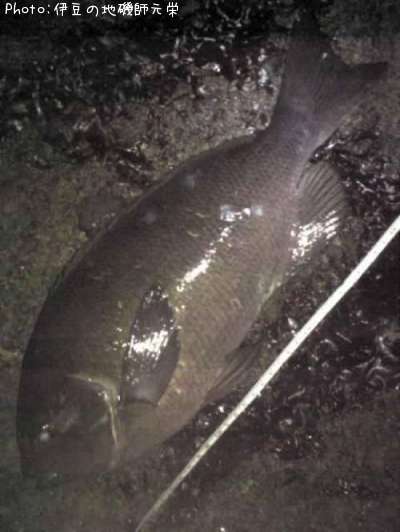 �����᥸��