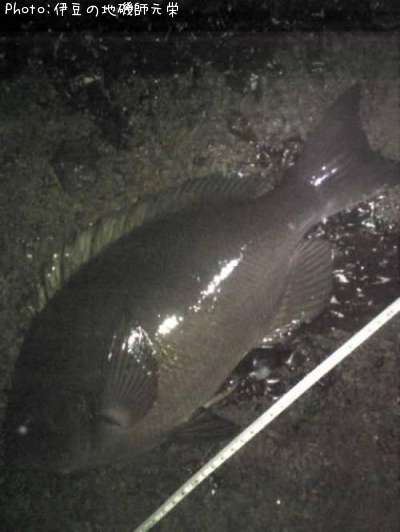 �����᥸��