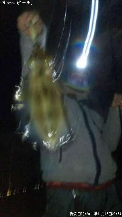 �����ꥤ��