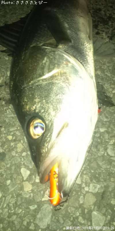 �����Х�