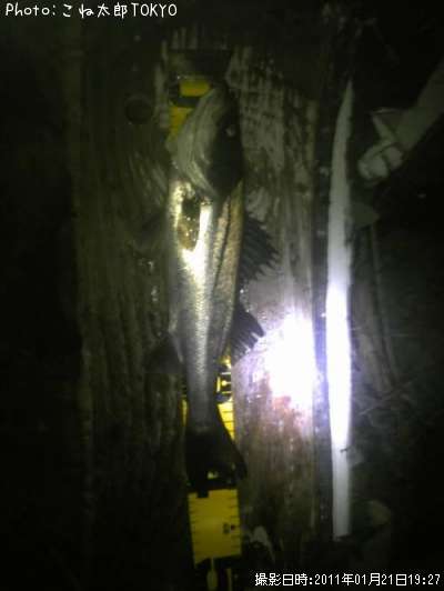 �����Х�