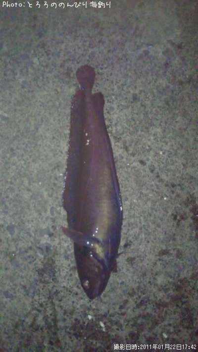 �������������ʥ�