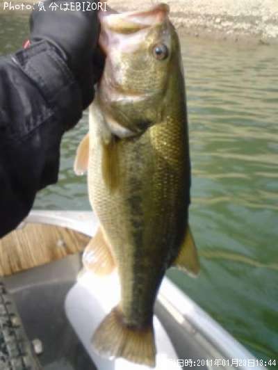 �֥�å��Х�