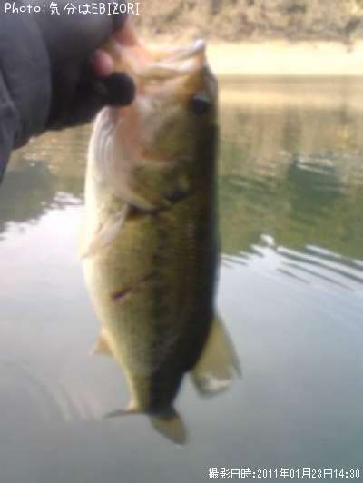 �֥�å��Х�