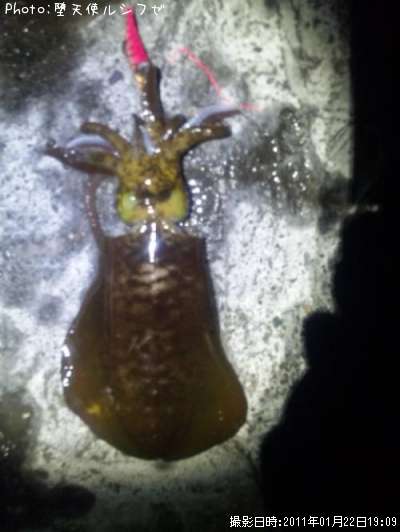 �����ꥤ��