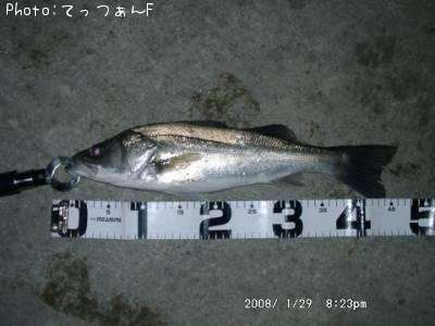 �ޥ륹����