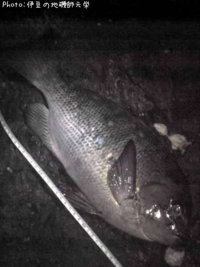 �����᥸��