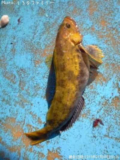 �����ʥ�