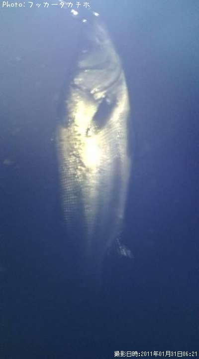 �ҥ饹����