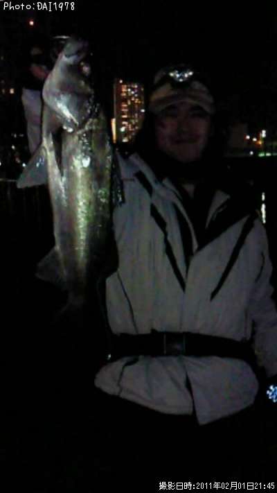 �����Х�