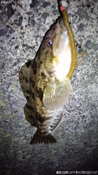 �����ʥ�