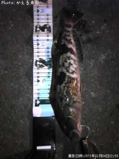 �����ʥ�����