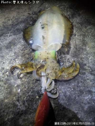 �����ꥤ��