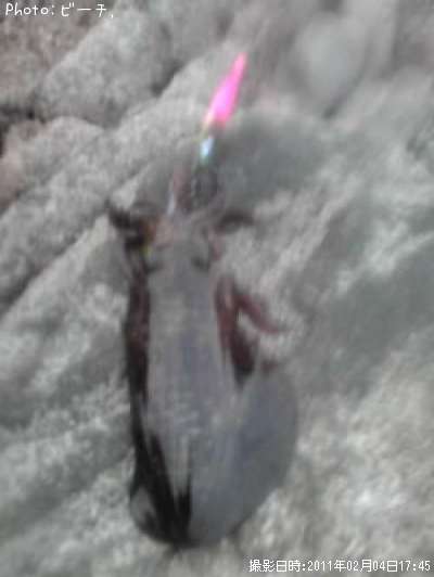 �����ꥤ��