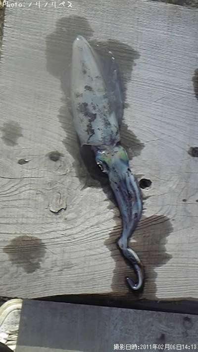 �����ꥤ��