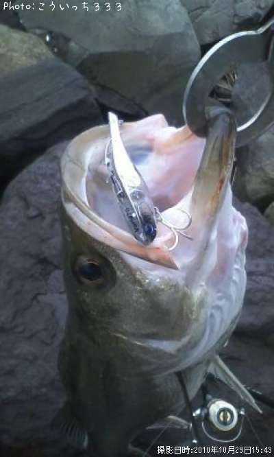 �����Х�