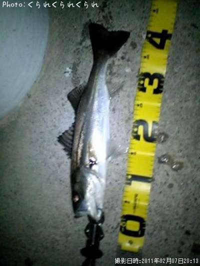 �����Х�