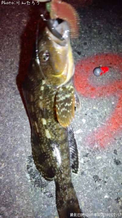 �����ʥ�