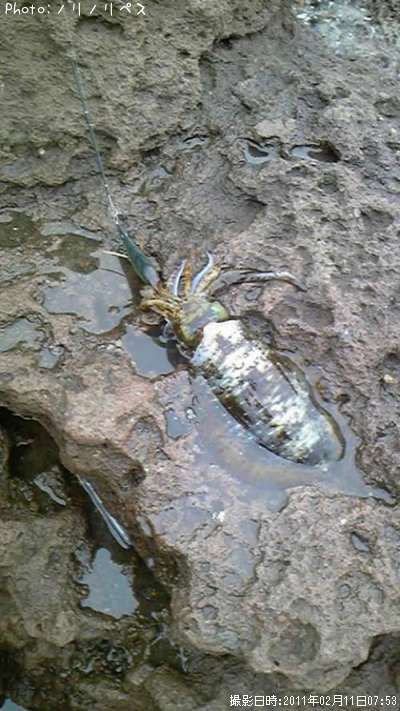 �����ꥤ��