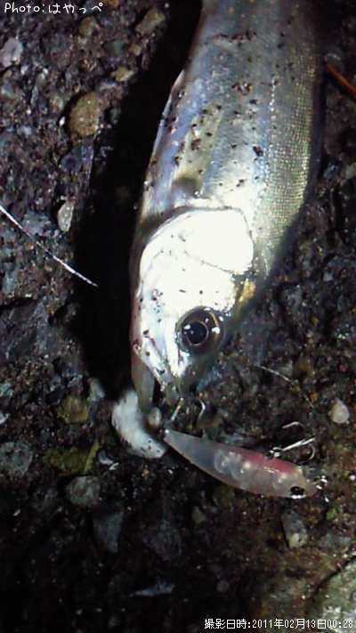 �����Х�