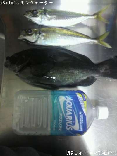 ����ȥ���