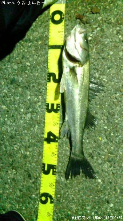 �����Х�