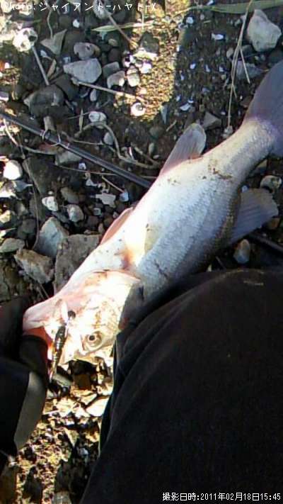 �֥�å��Х�