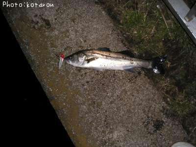 �����Х�