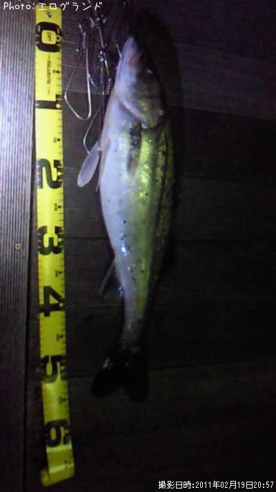 �����Х�