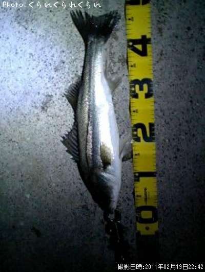 �����Х�