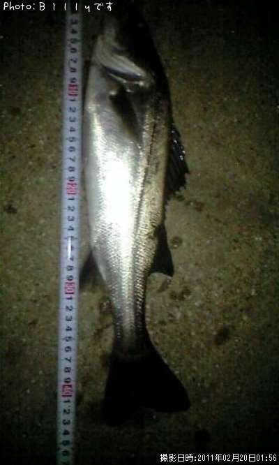 �����Х�