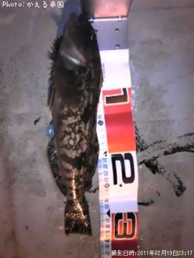 �����ʥ�