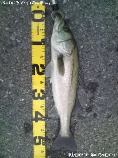 �����Х�