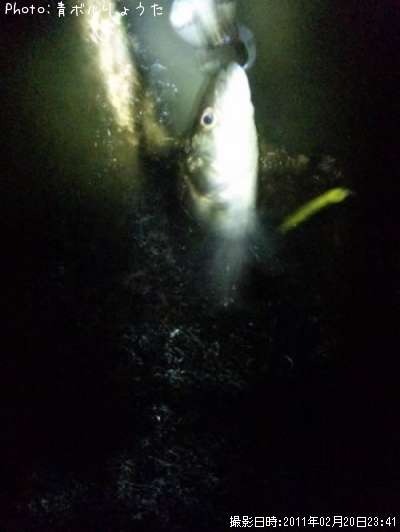 �����Х�