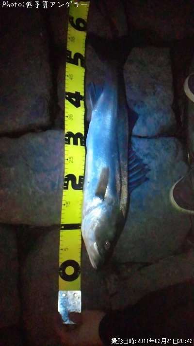 �����Х�