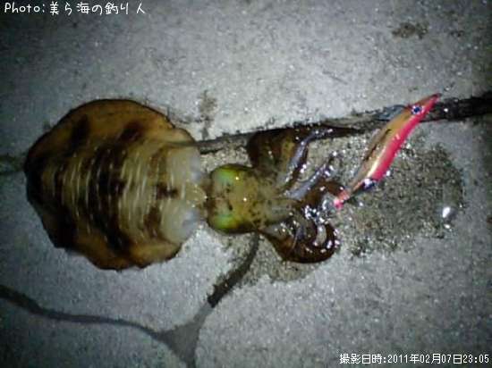 �����ꥤ��